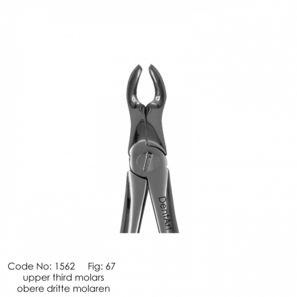 Extraction Forceps. Fig No.67 - UK Type